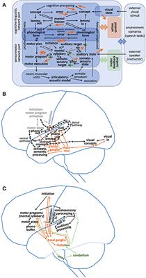 Modeling speech processing in case of neurogenic speech and language disorders: neural dysfunctions, brain lesions, and speech behavior